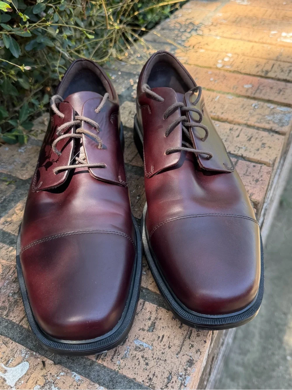 Burgundy Size 13N Rockport Ellingwood Waterproof Captoe Oxford Dress Shoes